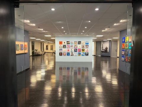 Mana Contemporary reMastered - Installation Overview